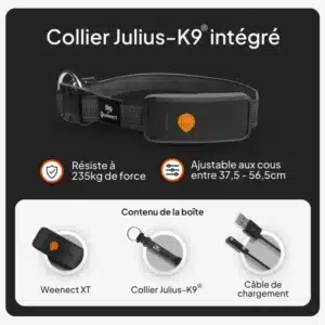 Collier avec traceur GPS Weenect pour chien