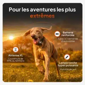 Chien équipé du traceur GPS Weenect en extérieur