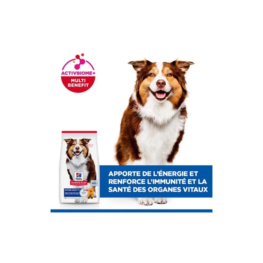 Chien et sac de croquettes Hill's Science Plan Mature Adult 7+ Medium au poulet