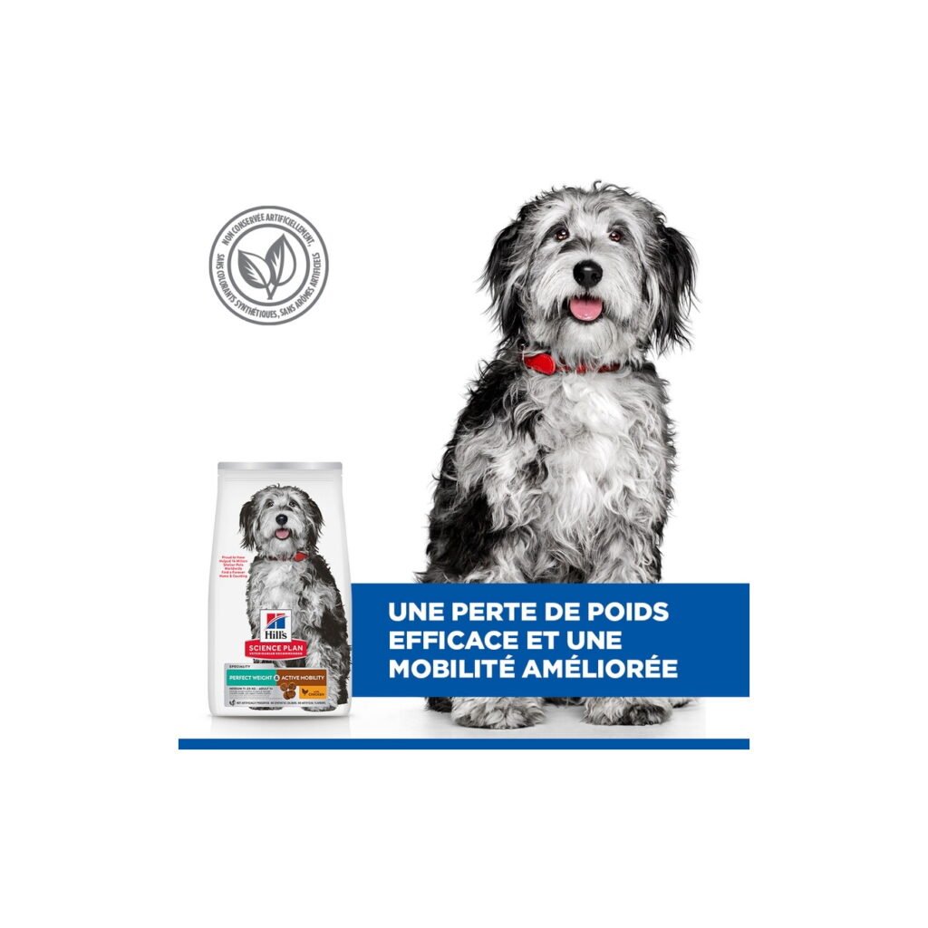 Chien et sac de croquettes Hill's Science Plan Perfect Weight & Active Mobility Medium