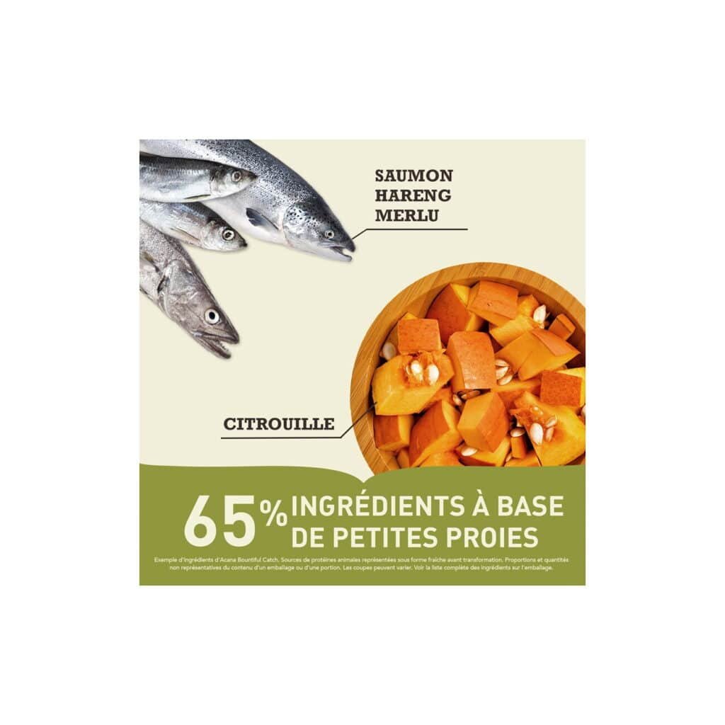 Ingrédients Acana Bountiful Catch chat : saumon, hareng, merlu et citrouille