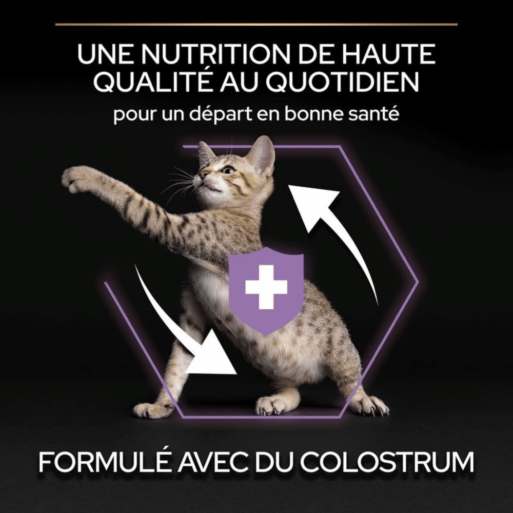 Visuel officiel Purina Pro Plan Kitten : croquettes pour chaton formulées avec du colostrum