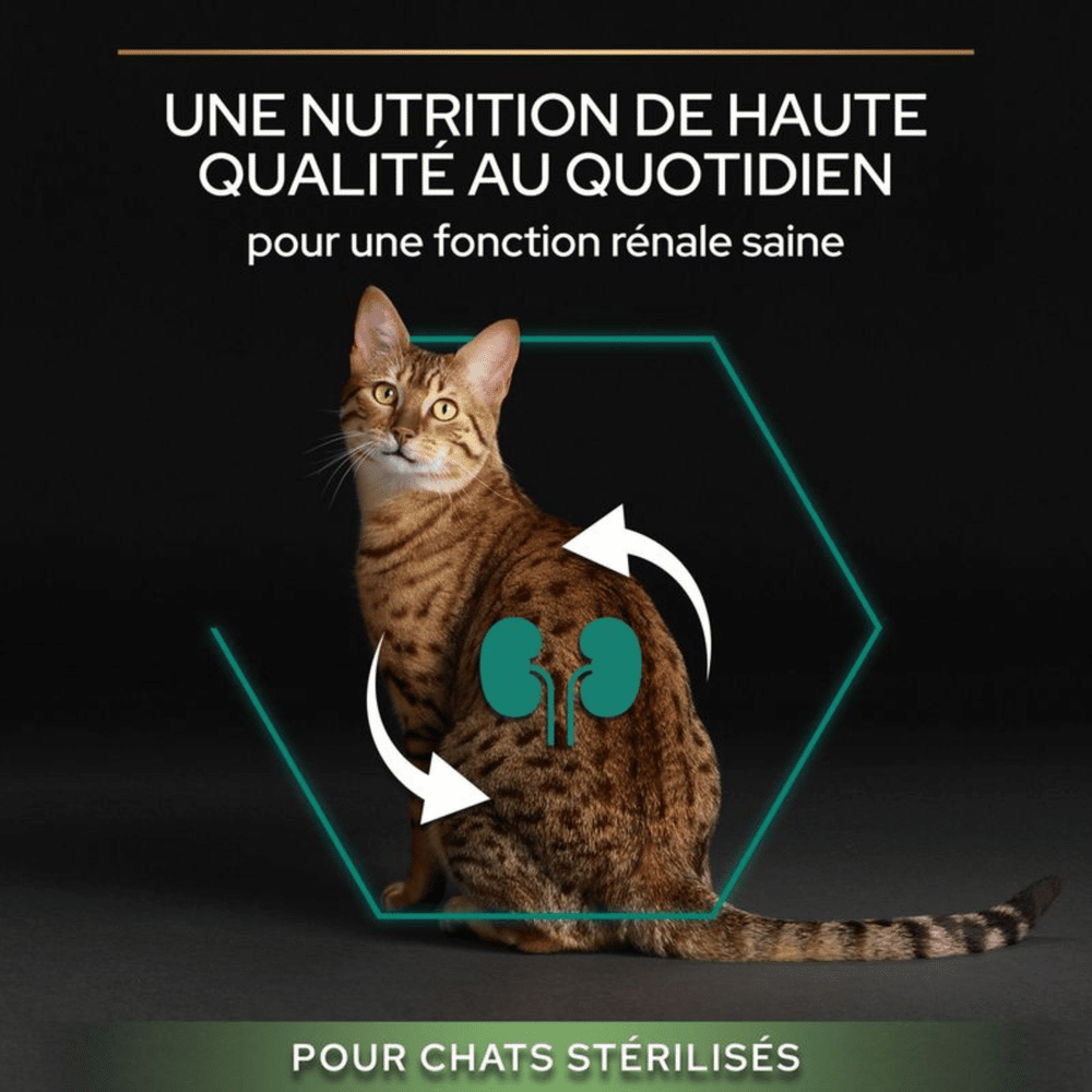 Visuel officiel Purina Pro Plan Sterilised Renal Plus : une nutrition pour une fonction rénale saine