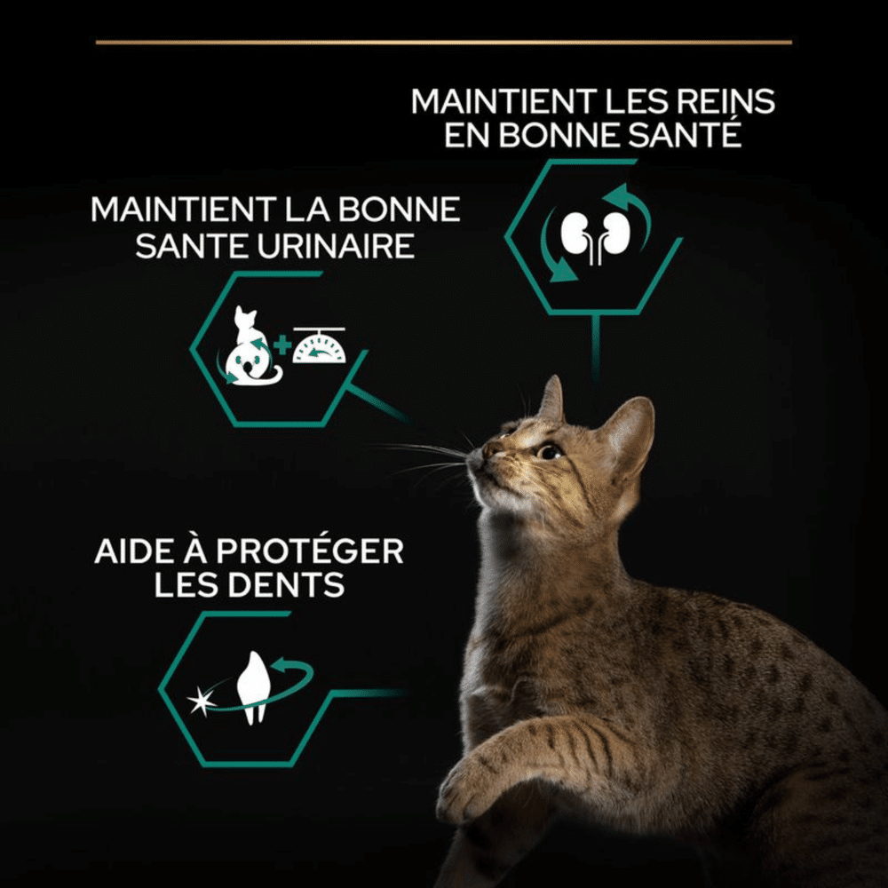 Visuel officiel Purina Pro Plan Sterilised : reins, santé urinaire et dents du chat stérilisé