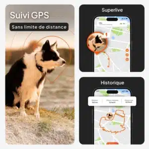 Traceur GPS Weenect pour chien : suivi en temps réel
