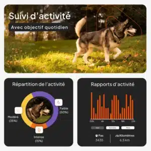 Traceur GPS Weenect pour chien : suivi d'activité