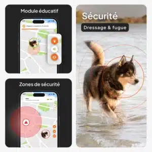 Traceur GPS Weenect pour chien : fonction sécurité