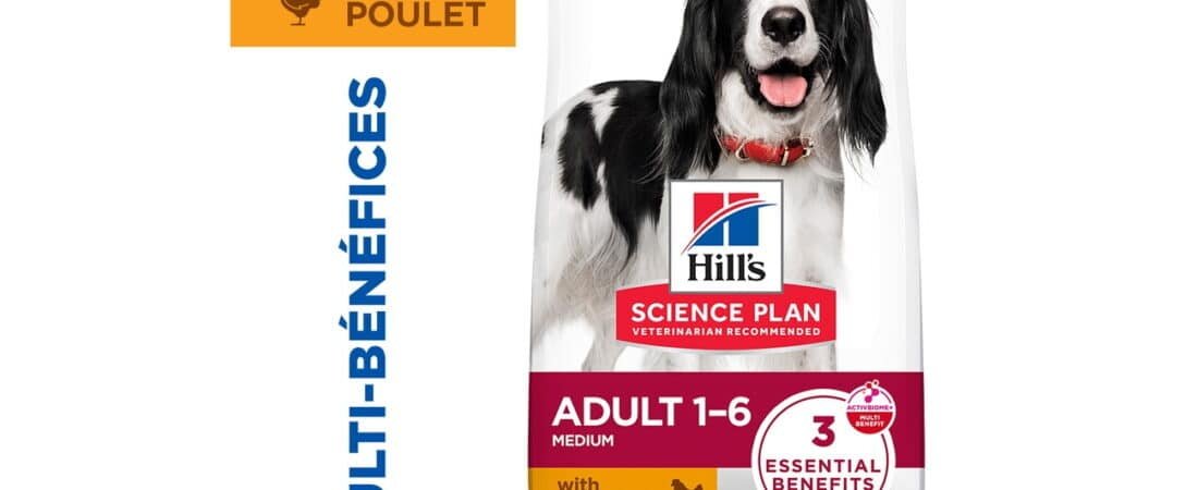 Croquettes Hill’s chien : notre avis sur Science Plan Adult Medium