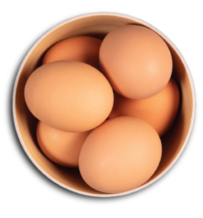 Bol d'œufs entiers, ingrédient des croquettes Acana