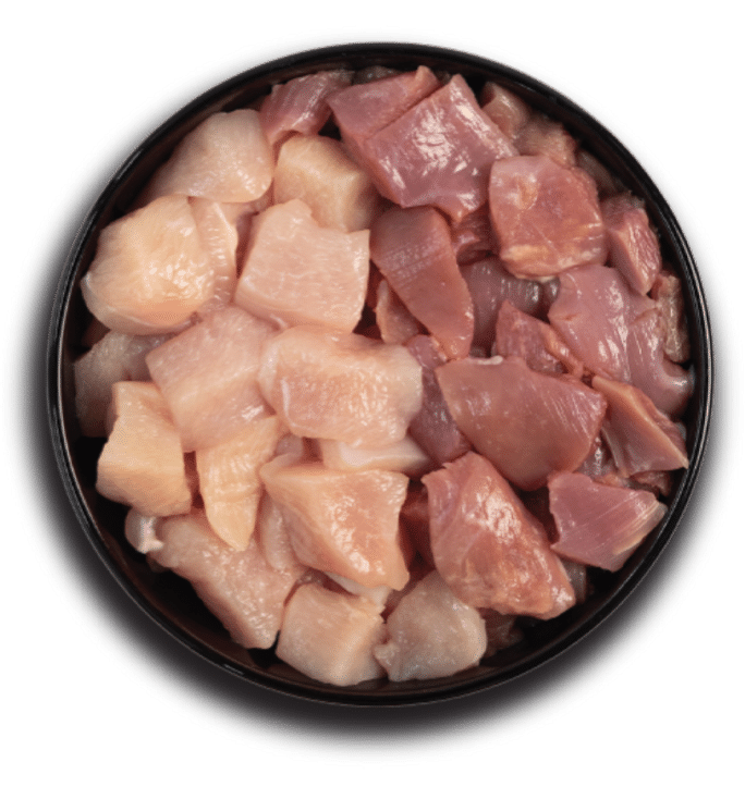 Bol de poulet et dinde frais, ingrédients des croquettes Acana