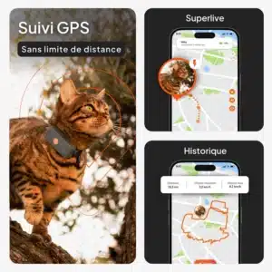 Traceur GPS Weenect pour chat