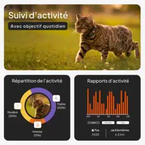 Traceur GPS Weenect pour chat