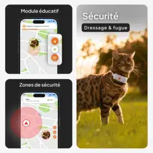Traceur GPS Weenect pour chat