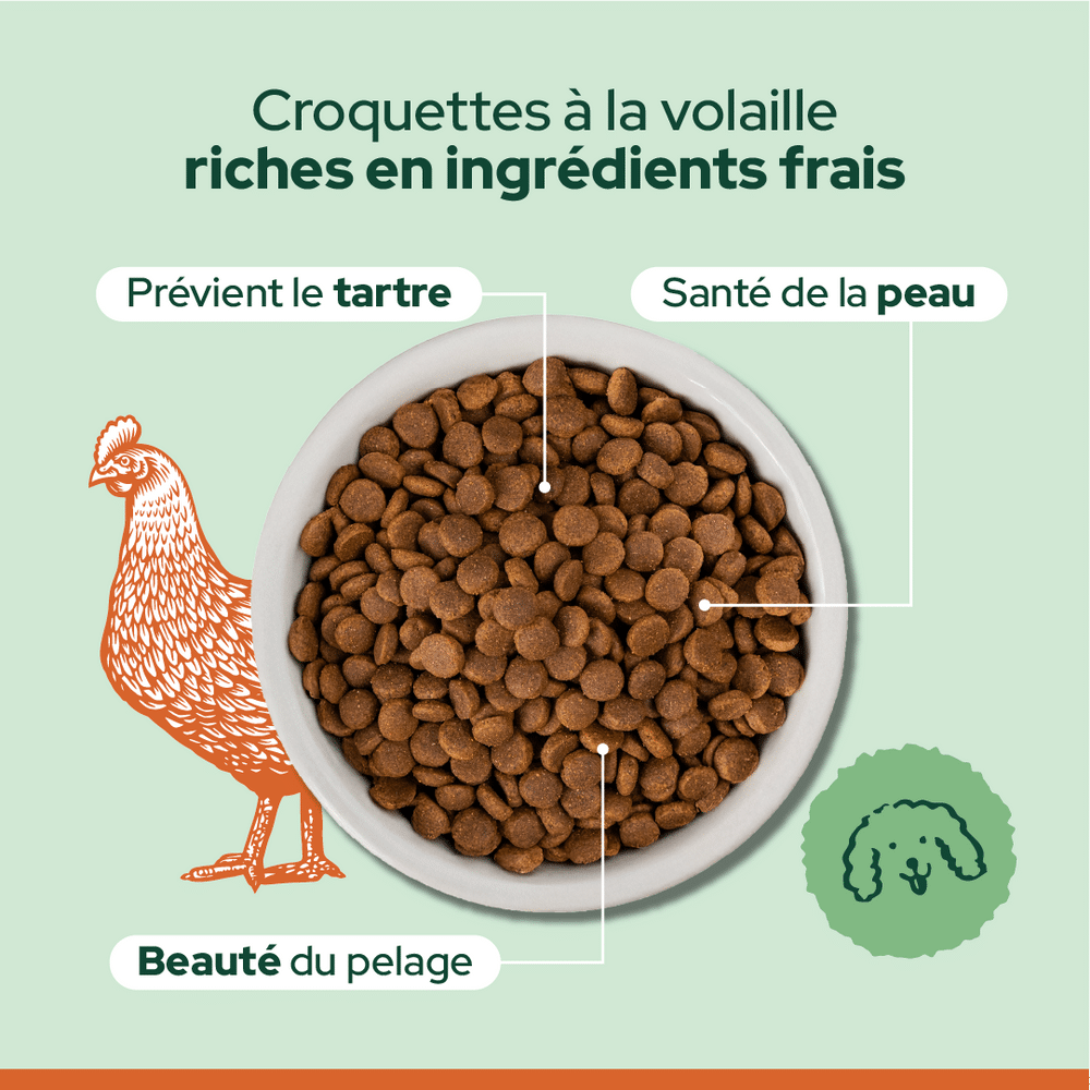 Gamelle de croquettes Équilibre & Instinct à la volaille riches en ingrédients frais