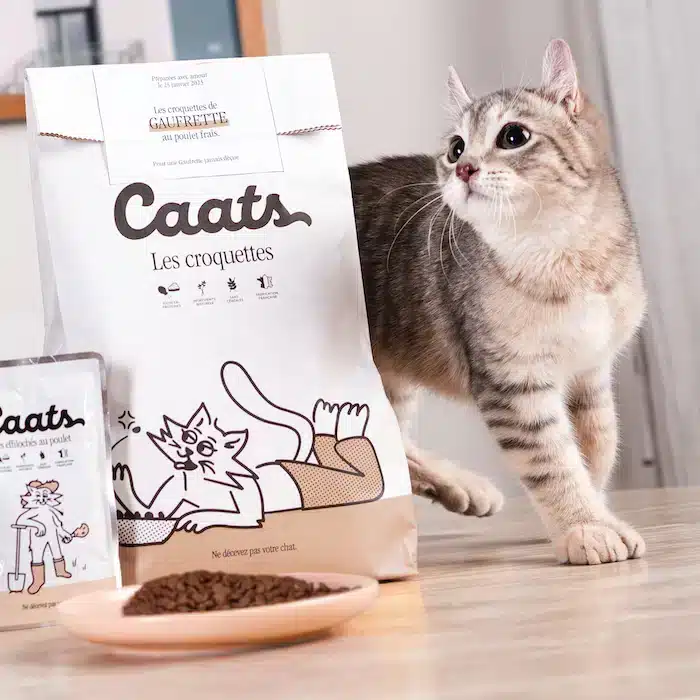 Chaton et les croquettes Caats
