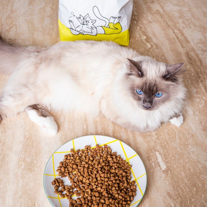Croquettes Caats riches en protéines animales pour chat