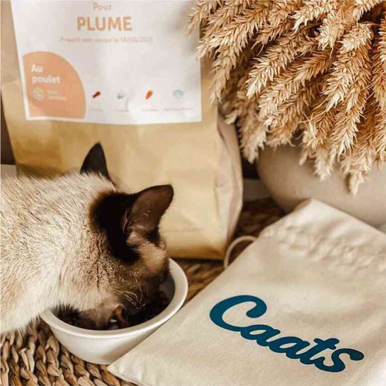 Avis sur les croquettes Caats