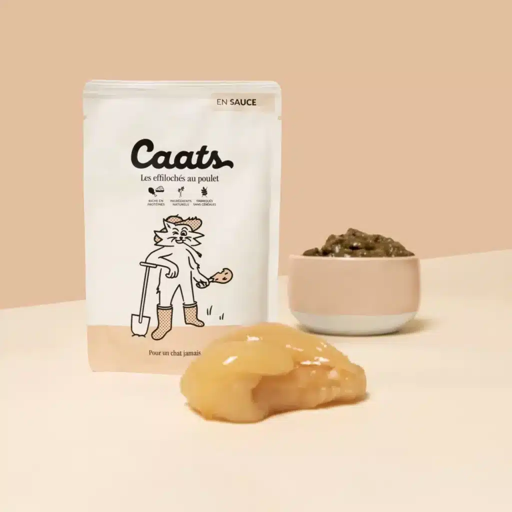 Sachet d'effilochés au poulet Caats et pâtée servie dans un bol