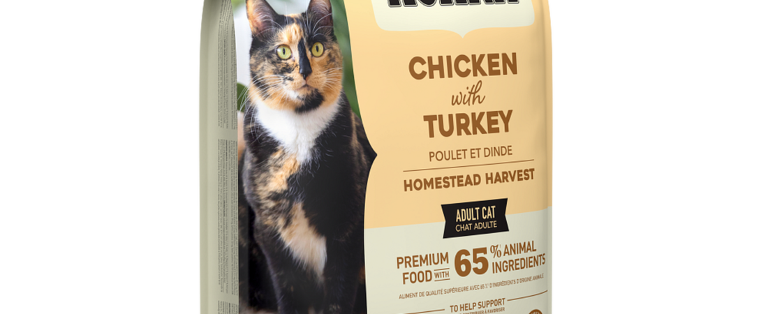 Croquettes Acana chat : notre avis sur Homestead Harvest