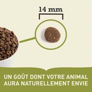 Taille de la croquette Acana Wild Prairie : 14 mm de diametre