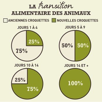 Plan de transition alimentaire Acana Wild Prairie sur plusieurs jours