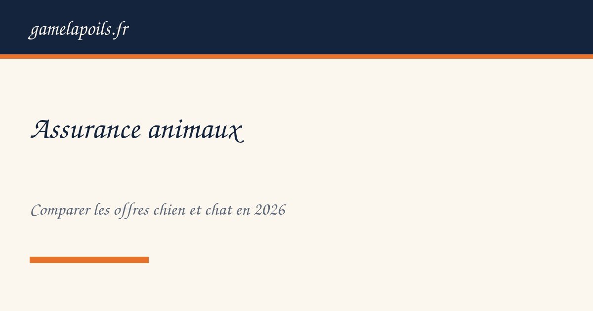 Assurance animaux : comparatif des offres pour chien et chat