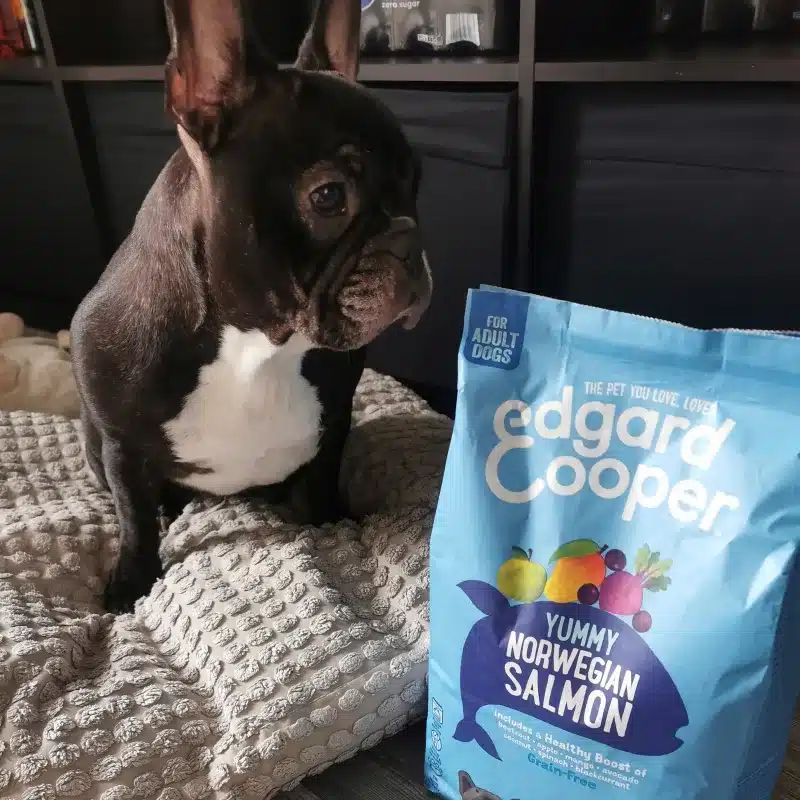 Bouledogue français à cÎté d'un sac de croquettes Edgard & Cooper au saumon, visuel officiel de la marque