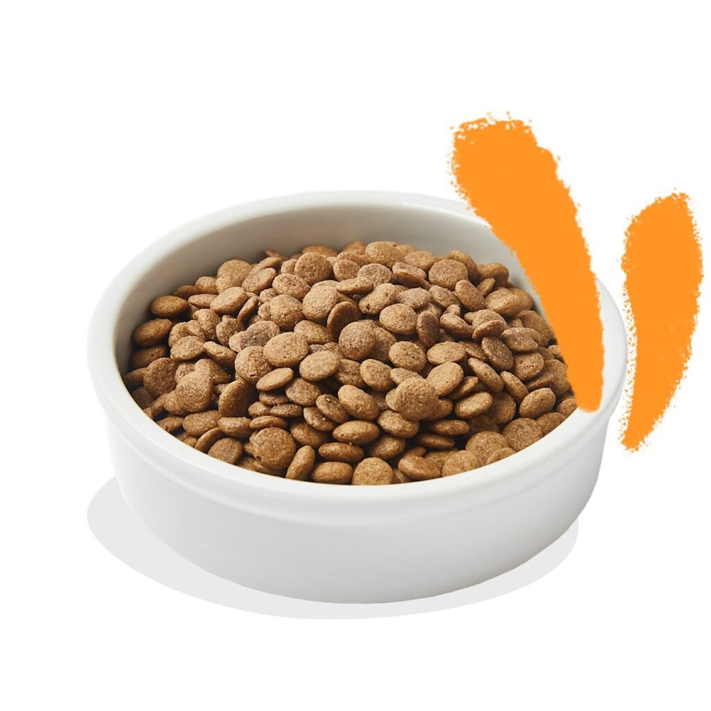 Gamelle de croquettes Edgard & Cooper au poulet frais pour chat