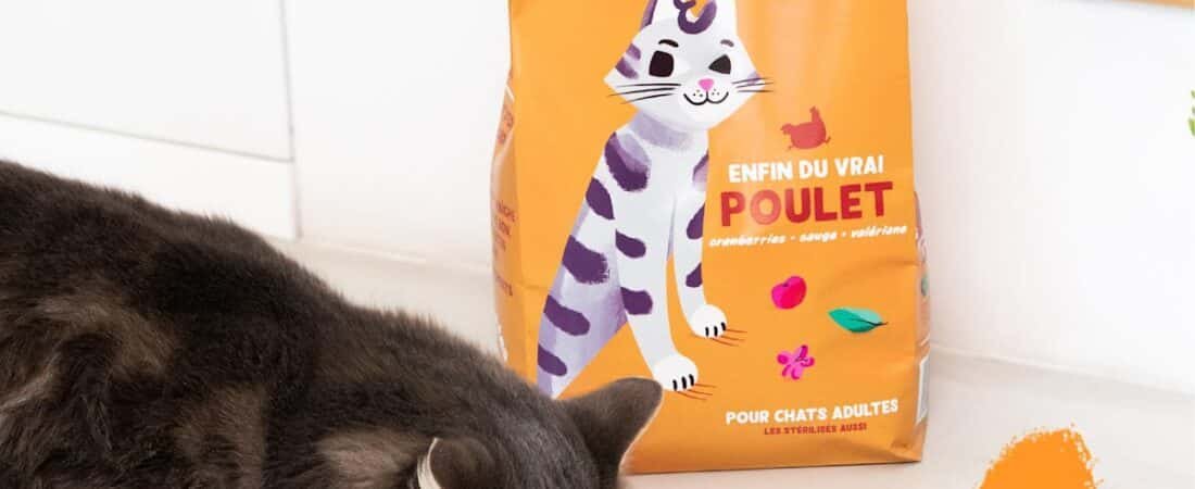 Avis Edgard & Cooper chat : notre analyse des croquettes