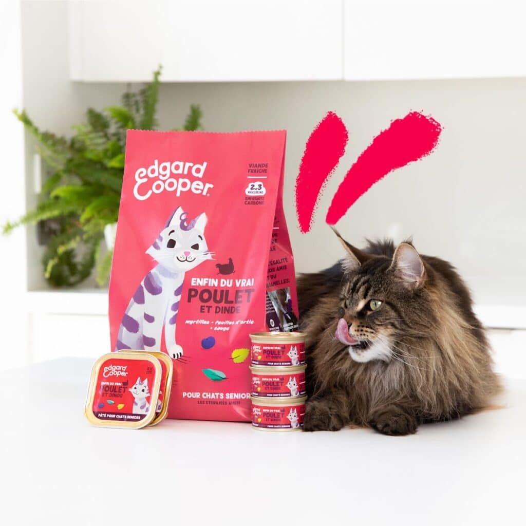 Chat à poils longs à cÎté du sac Edgard & Cooper Senior et de pùtées de la marque