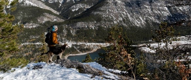 Randonneuse et son chien en montagne, visuel officiel Orijen