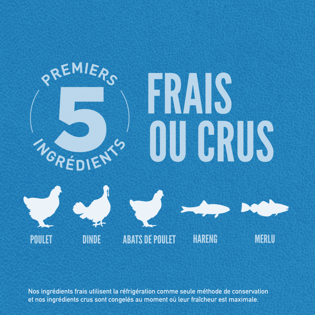 Les 5 premiers ingrédients frais ou crus des croquettes Orijen Original : poulet, dinde, abats, hareng, merlu