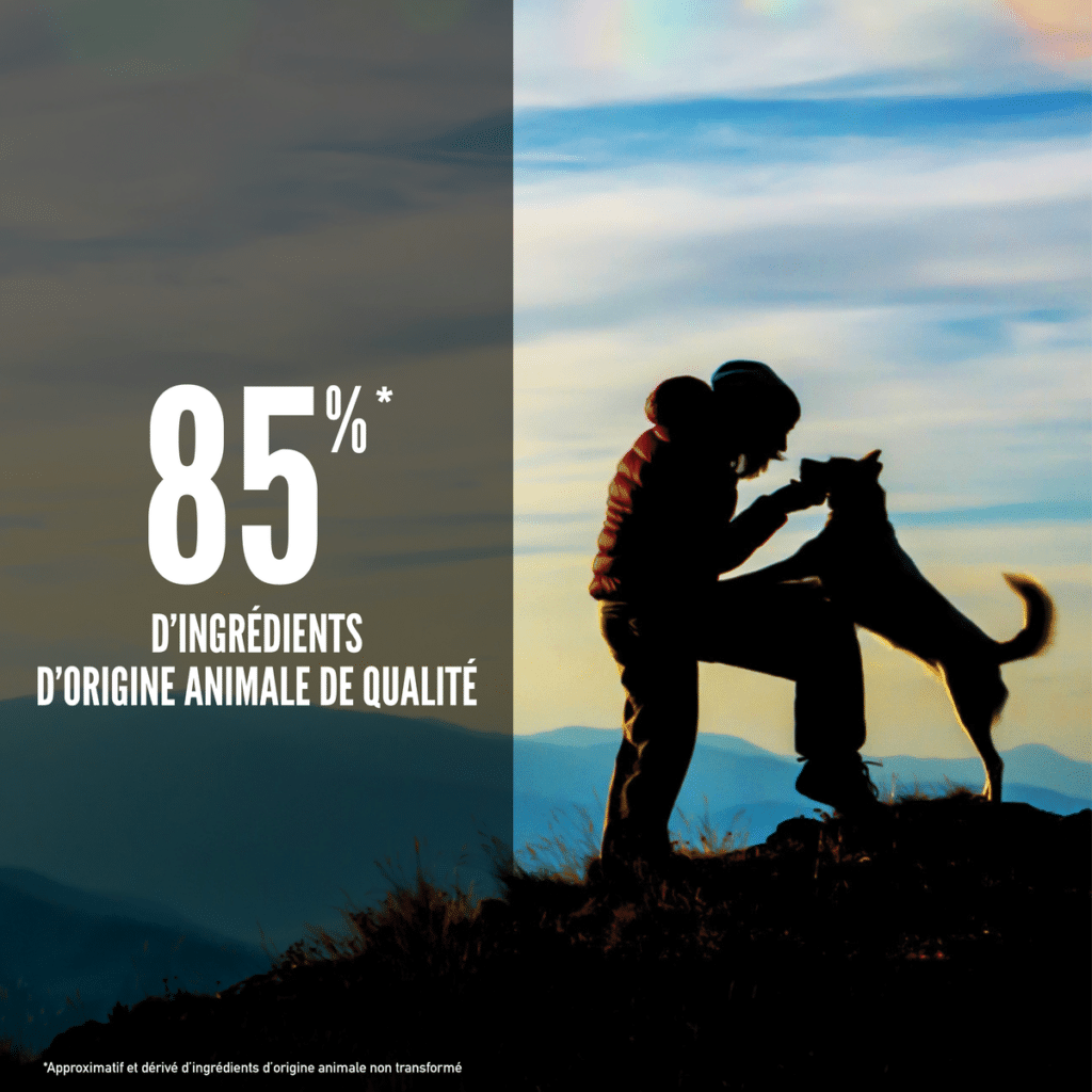 Visuel officiel Orijen Original chien : 85 % d'ingrédients d'origine animale
