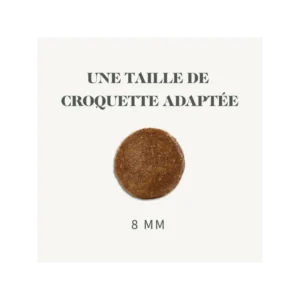 Croquettes Croquettes Bab’in chat