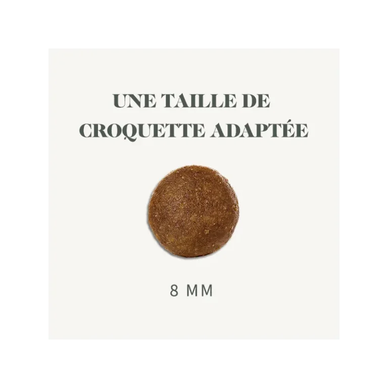 Croquettes Bab’in chat : notre avis sur la Signature sans céréales
