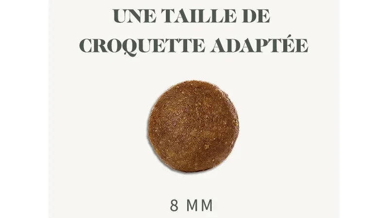 Croquettes Bab’in chat : notre avis sur la Signature sans céréales