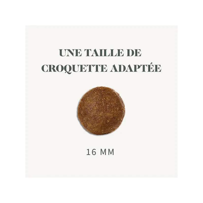 Sac Bab'in Medium Adulte poulet label Origine France Garantie