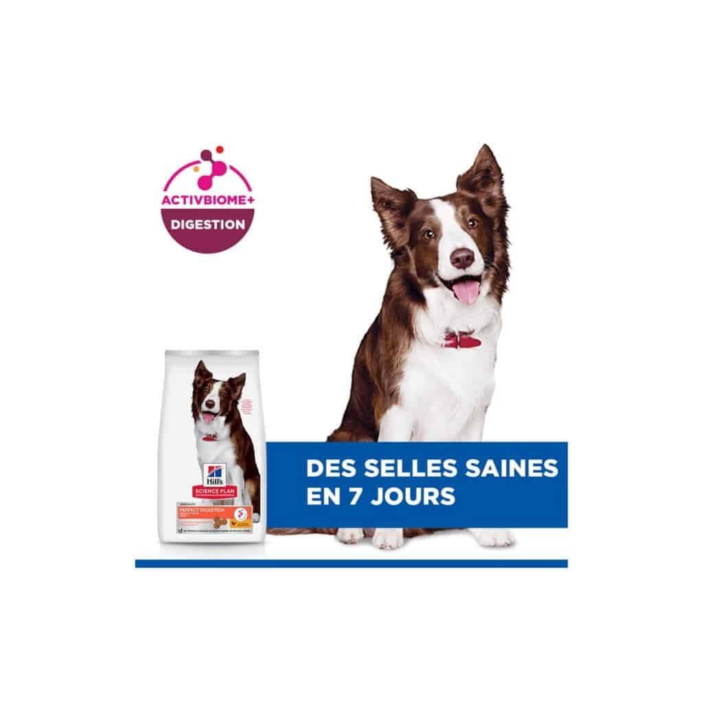 Chien et sac de croquettes Hill's Science Plan Perfect Digestion Medium au poulet et riz complet