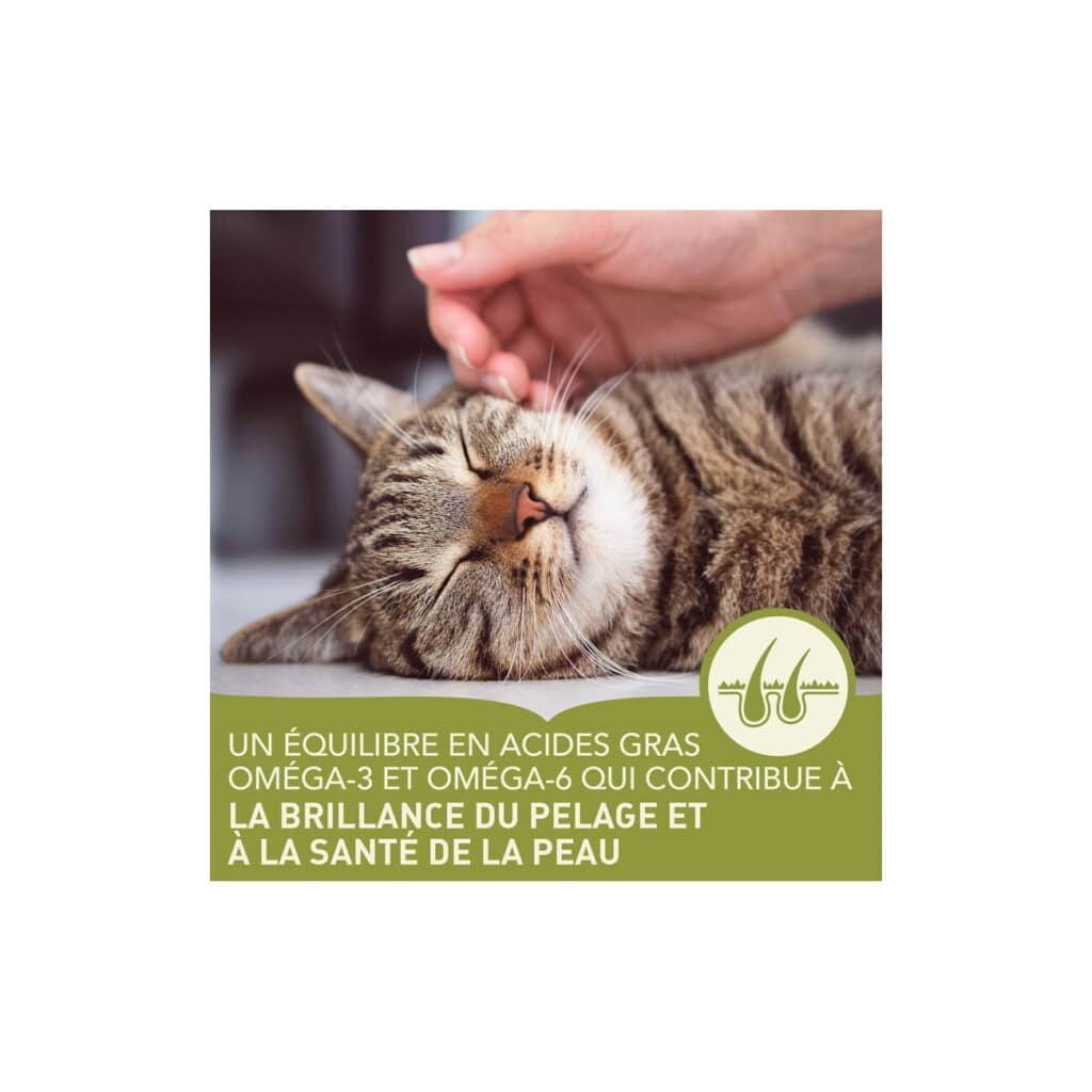 Chat tigré caressé, visuel Acana sur les oméga-3 et oméga-6 pour le pelage