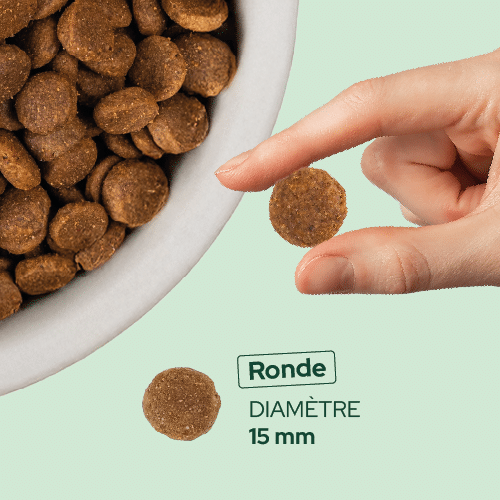 Croquette ronde de 15 mm Équilibre & Instinct pour chien de moyenne et grande taille