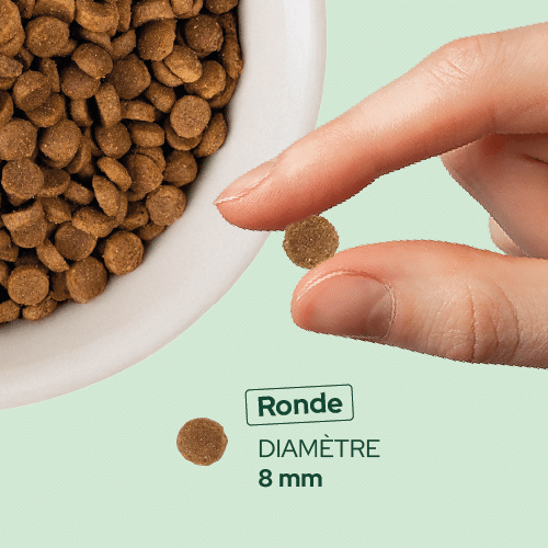 Croquette ronde de 8 mm Équilibre & Instinct pour petit chien