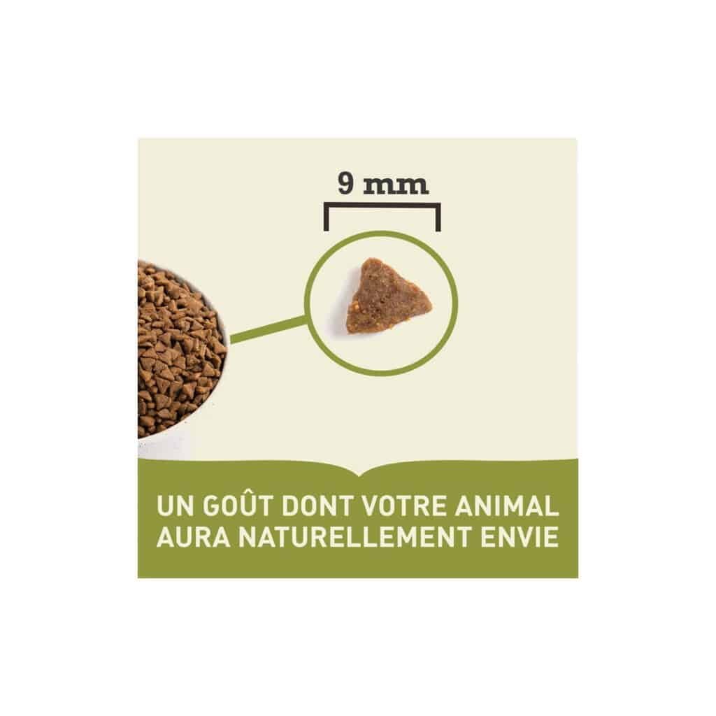 Taille des croquettes Acana pour chat : environ 9 mm