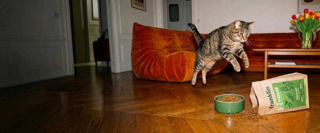 Croquettes Franklin pour chat sans c&eacute;r&eacute;ales