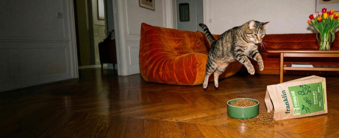 Avis Franklin chat : notre analyse des croquettes sans céréales