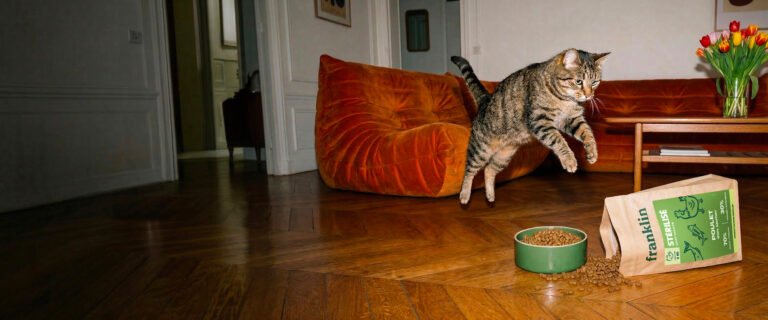 Avis Franklin chat : notre analyse des croquettes sans céréales