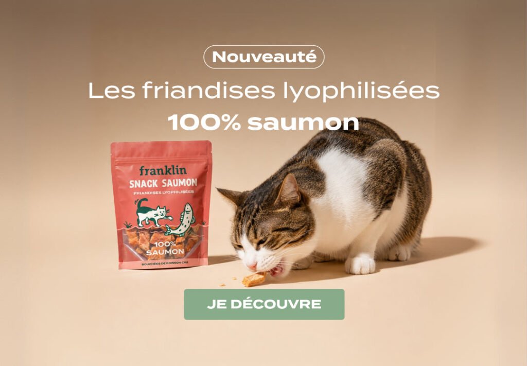 Gamme saumon Franklin pour chat
