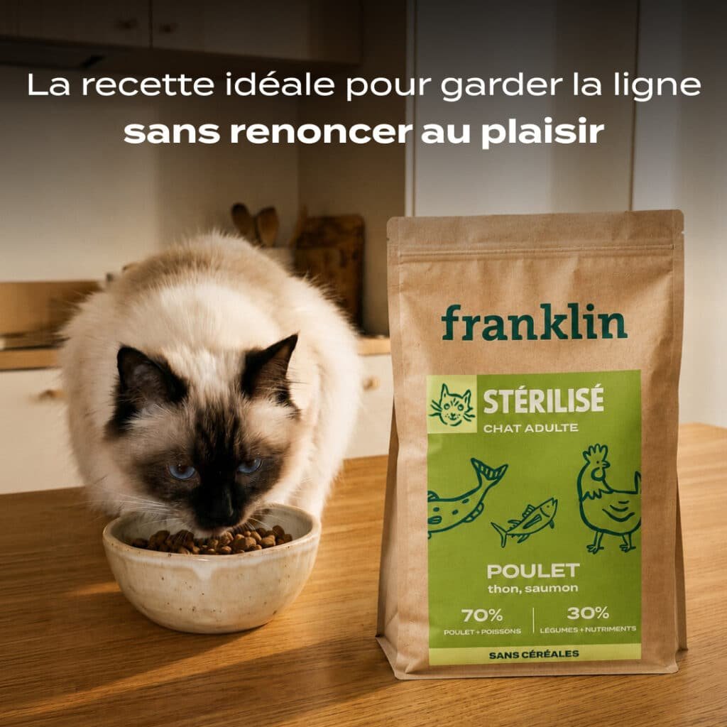 Chat qui mange les croquettes Franklin Stérilisé Poulet, Thon, Saumon