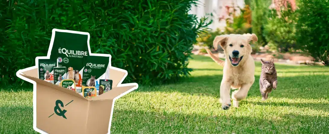 Mon avis sur Equilibre et Instinct : le test de Marcel
