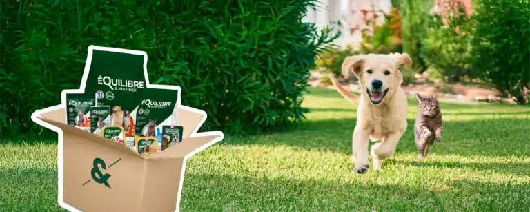 Mon avis sur Equilibre et Instinct : le test de Marcel