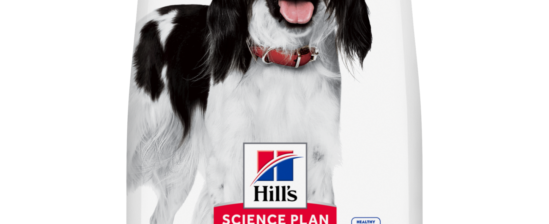Croquettes Hill’s chien : notre avis sur Science Plan Adult Medium